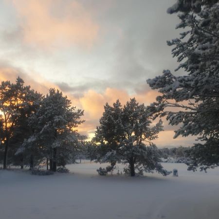 Solvang Camping Og Leirsted Alta Exteriér fotografie